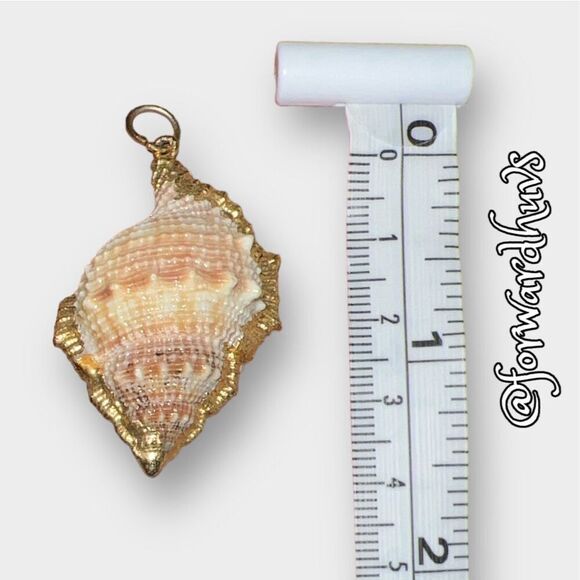 Mini Conch Seashell Pendant with Gold Dip Trim - Picture 3 of 7